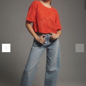 By Anthropologie Sheer Embroidered Boxy Top